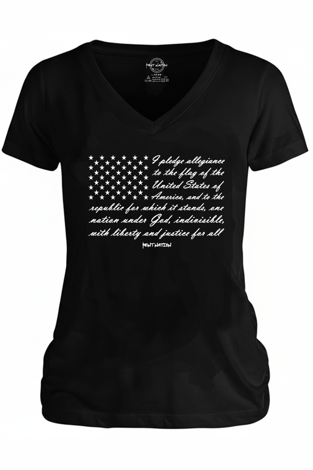 Pledge Of Allegiance Women's V-Neck
