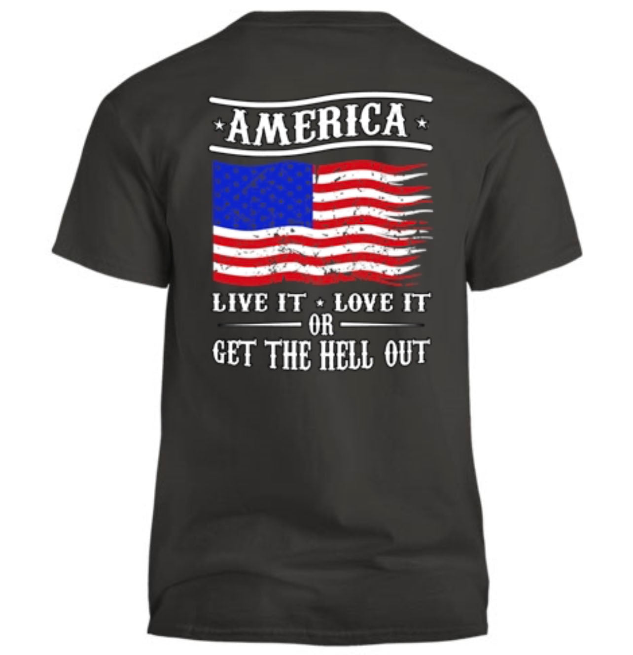 America Live It Love It Men's T-Shirt