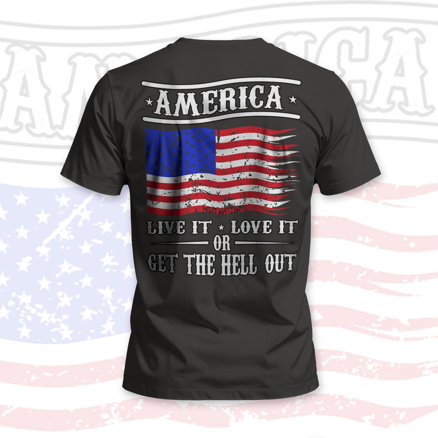 America Live It Love It Men's T-Shirt